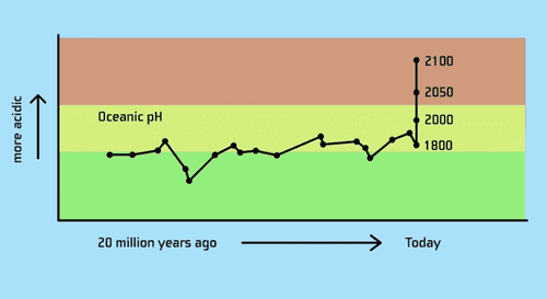 The change in the ocean’s pH over time.